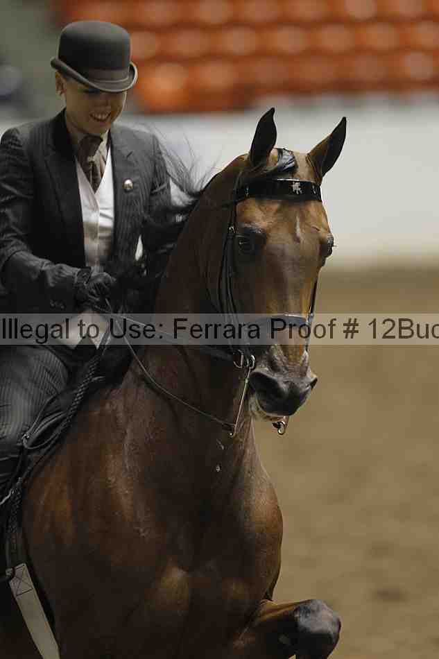 Proof 12buck_0974