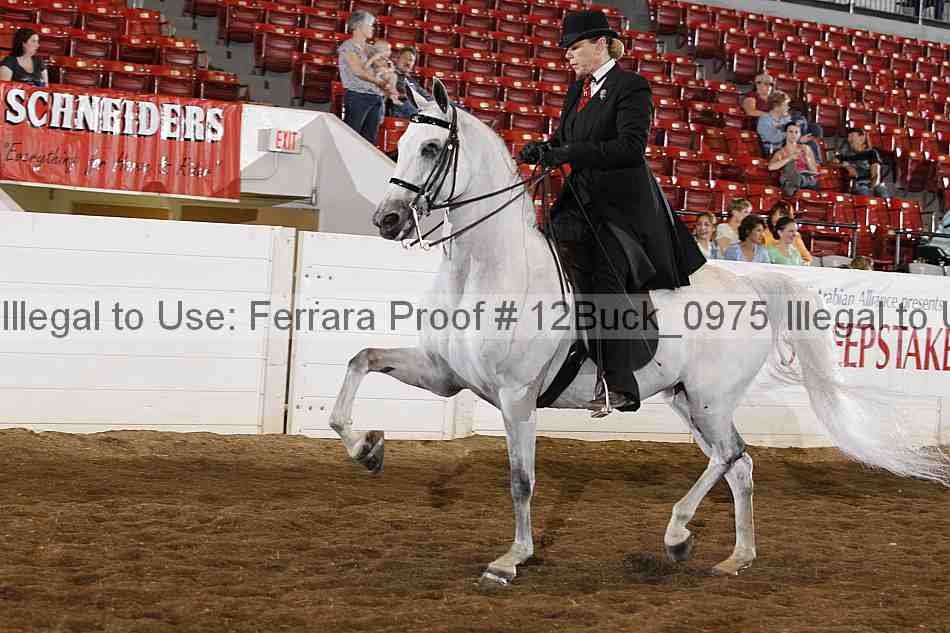 Proof 12buck_0975