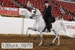 12buck_0975 proof