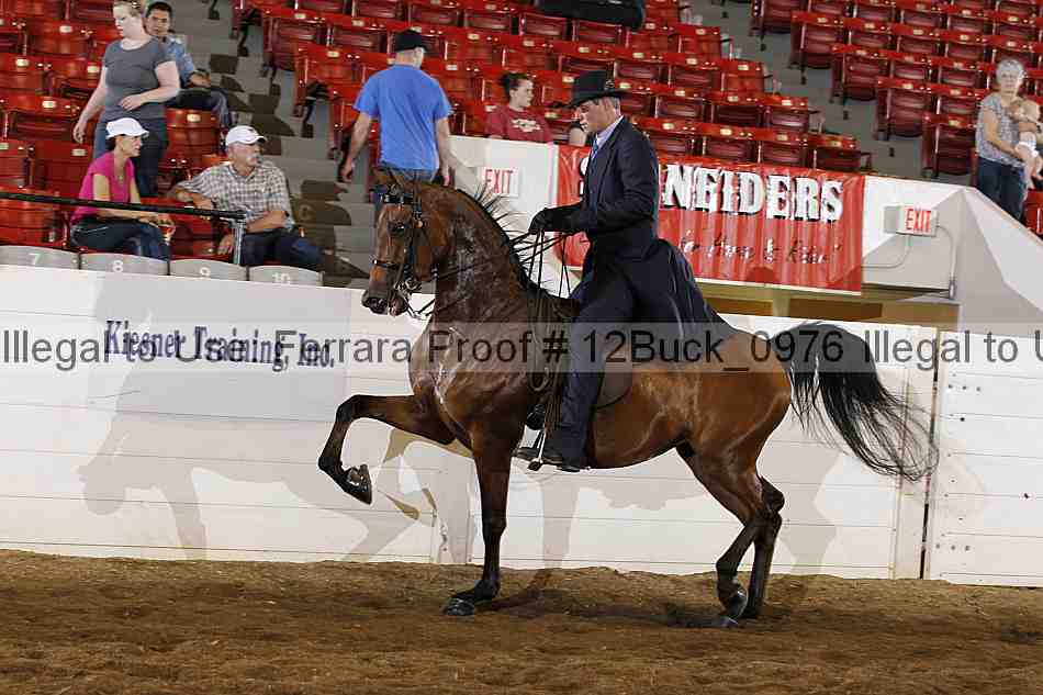 Proof 12buck_0976