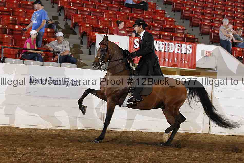Proof 12buck_0977