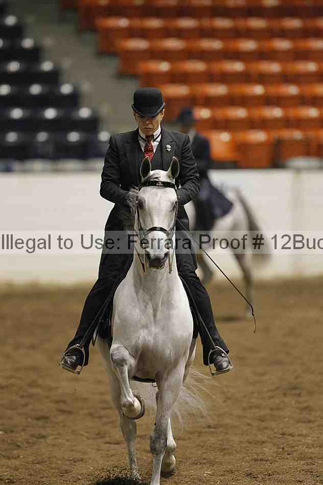 Proof 12buck_0978