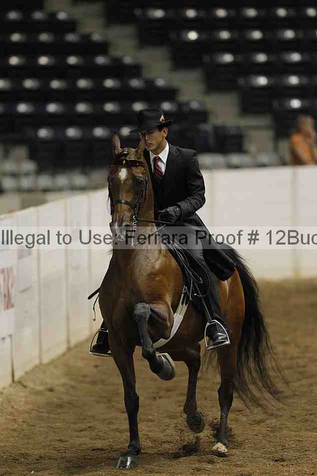 Proof 12buck_0981