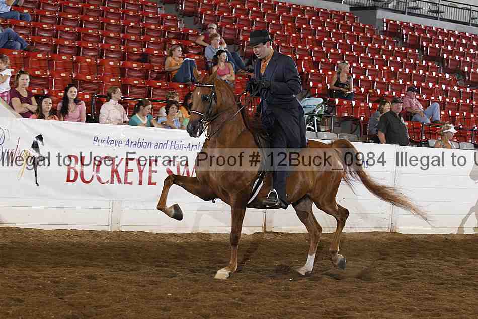 Proof 12buck_0984