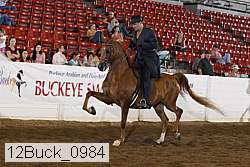12buck_0984 proof