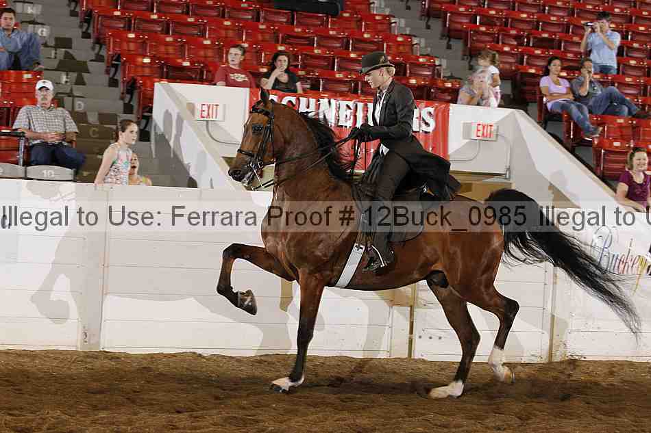 Proof 12buck_0985