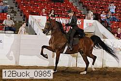 12buck_0985 proof