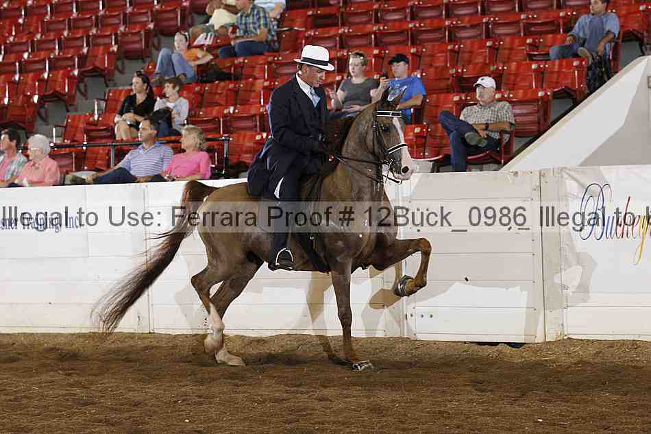 Proof 12buck_0986