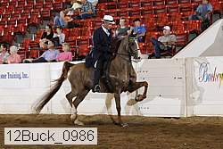 12buck_0986 proof