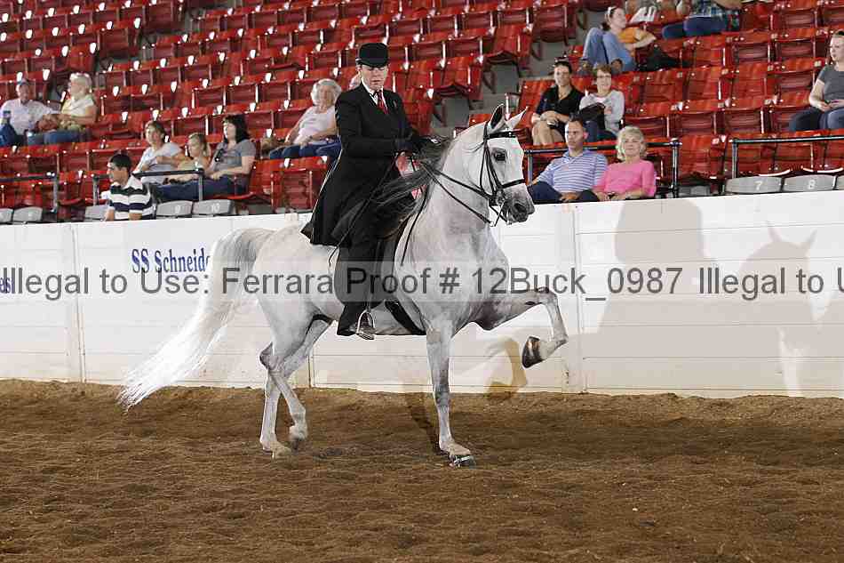 Proof 12buck_0987