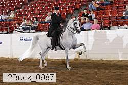 12buck_0987 proof