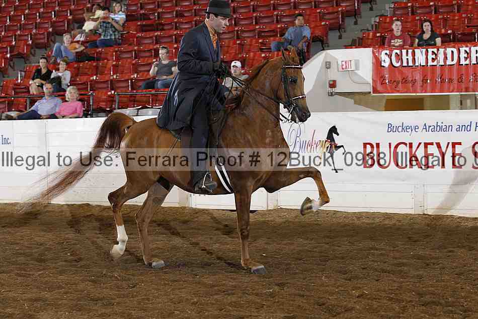 Proof 12buck_0988