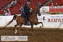 12buck_0988 proof