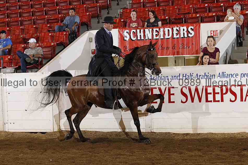 Proof 12buck_0989
