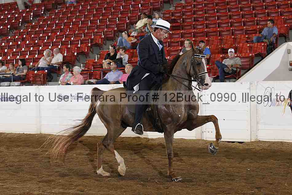Proof 12buck_0990