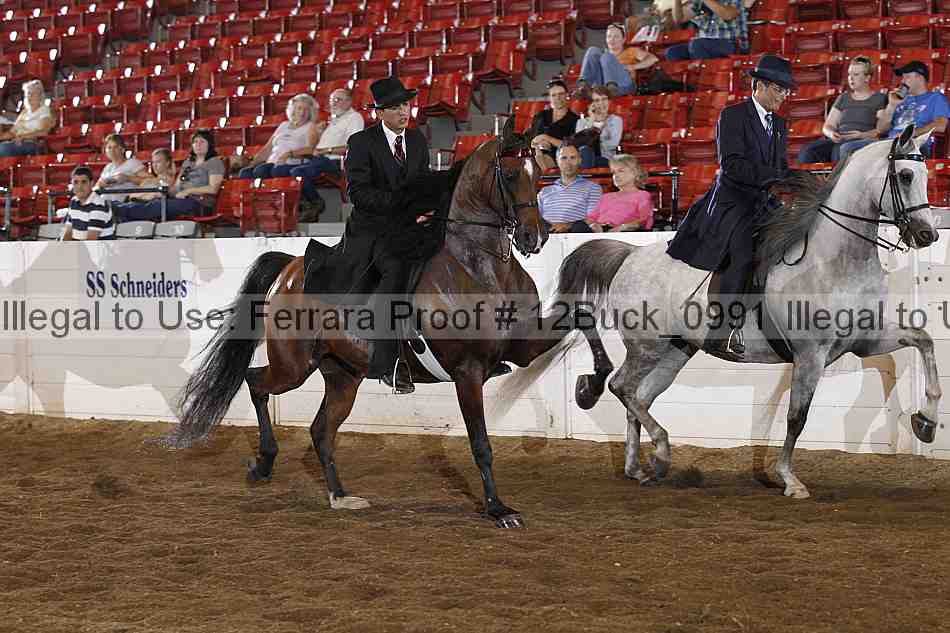 Proof 12buck_0991