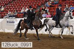 12buck_0991 proof