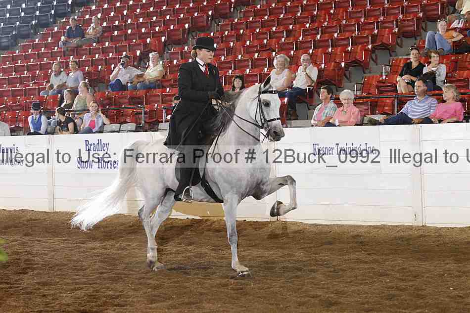 Proof 12buck_0992