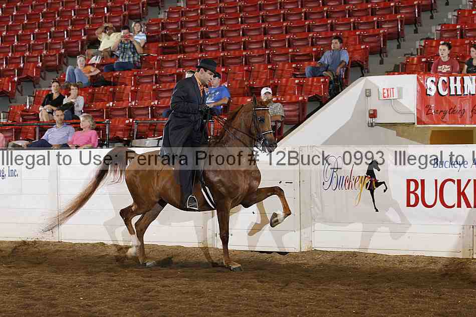Proof 12buck_0993