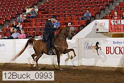12buck_0993 proof