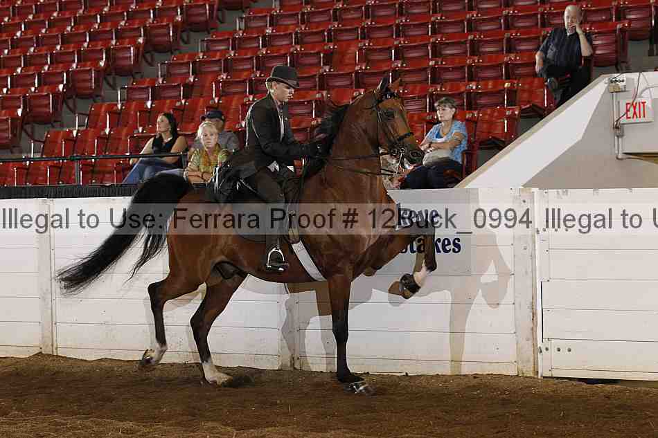 Proof 12buck_0994