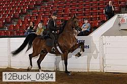 12buck_0994 proof