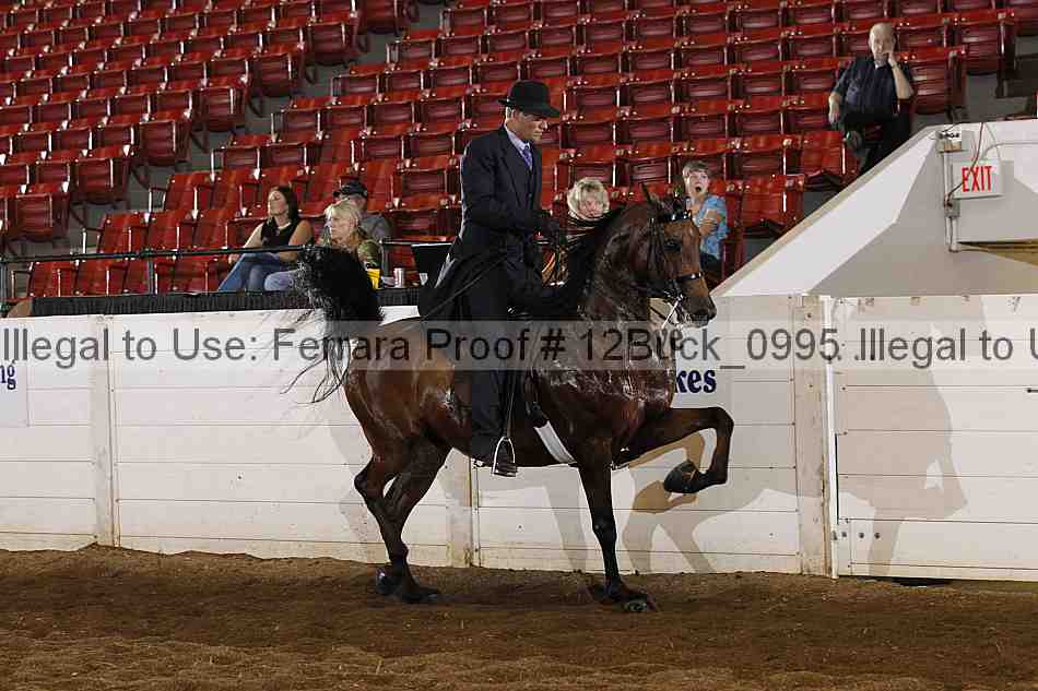 Proof 12buck_0995