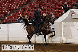 12buck_0995 proof