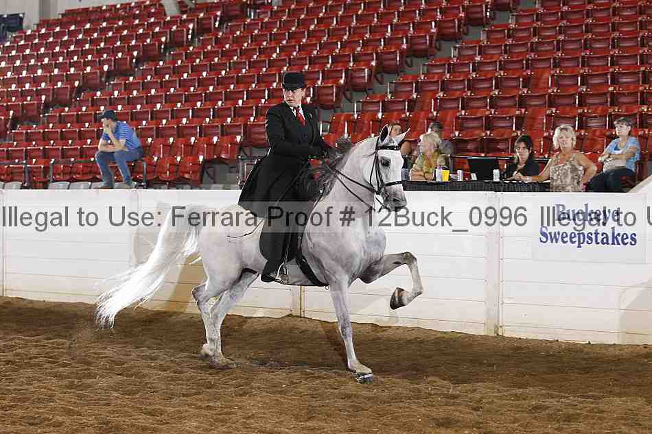 Proof 12buck_0996