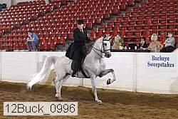 12buck_0996 proof