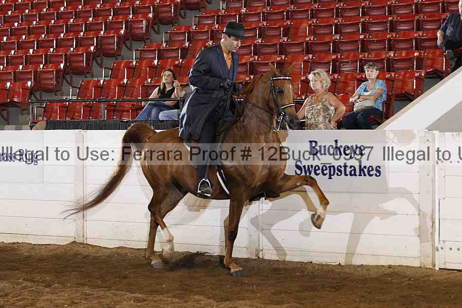 Proof 12buck_0997