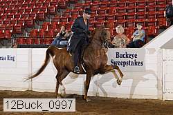 12buck_0997 proof