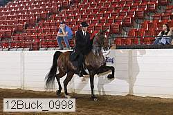 12buck_0998 proof