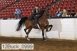 12buck_0999 proof