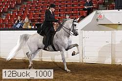 12buck_1000 proof