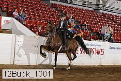 12buck_1001 proof