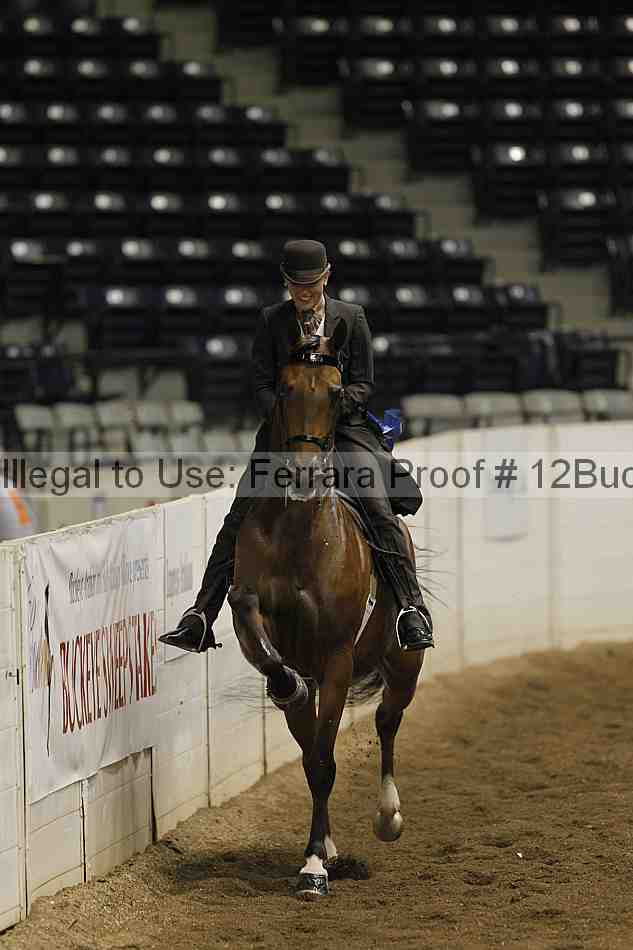 Proof 12buck_1005
