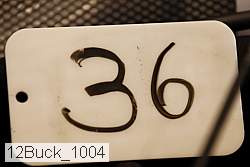 12buck_1004 proof
