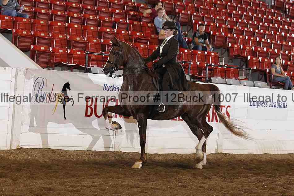 Proof 12buck_1007