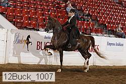 12buck_1007 proof