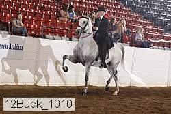 12buck_1010 proof