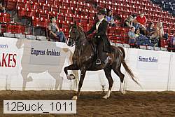 12buck_1011 proof