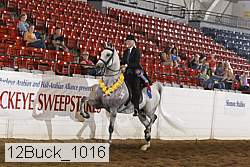 12buck_1016 proof