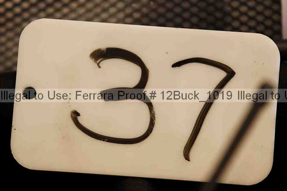 Proof 12buck_1019