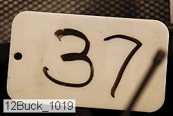 12buck_1019 proof