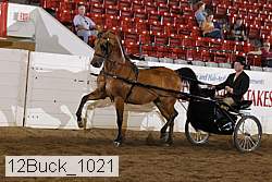 12buck_1021 proof