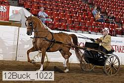 12buck_1022 proof