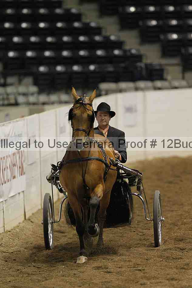 Proof 12buck_1024