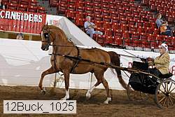 12buck_1025 proof