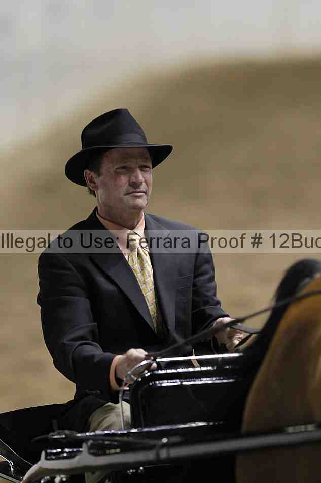 Proof 12buck_1026